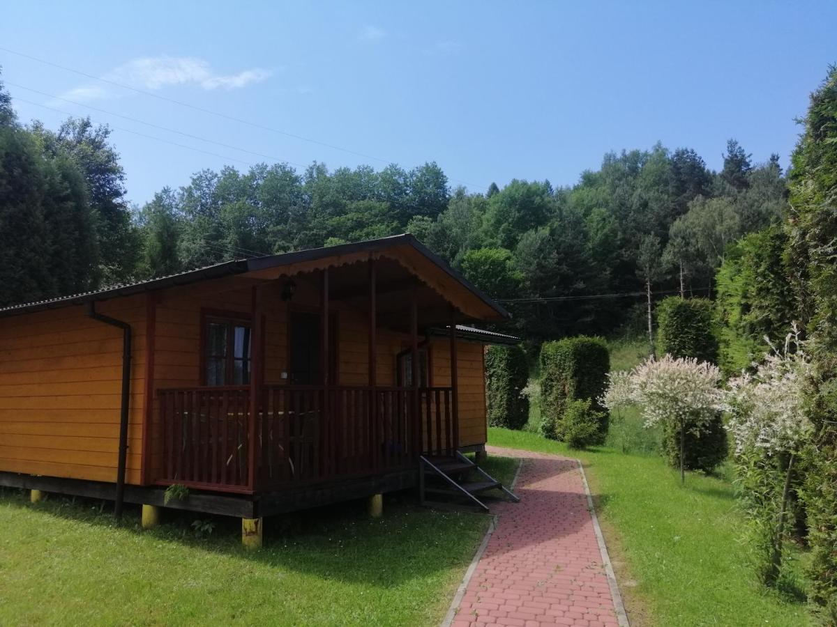 Eko-wakacje * Polanczyk