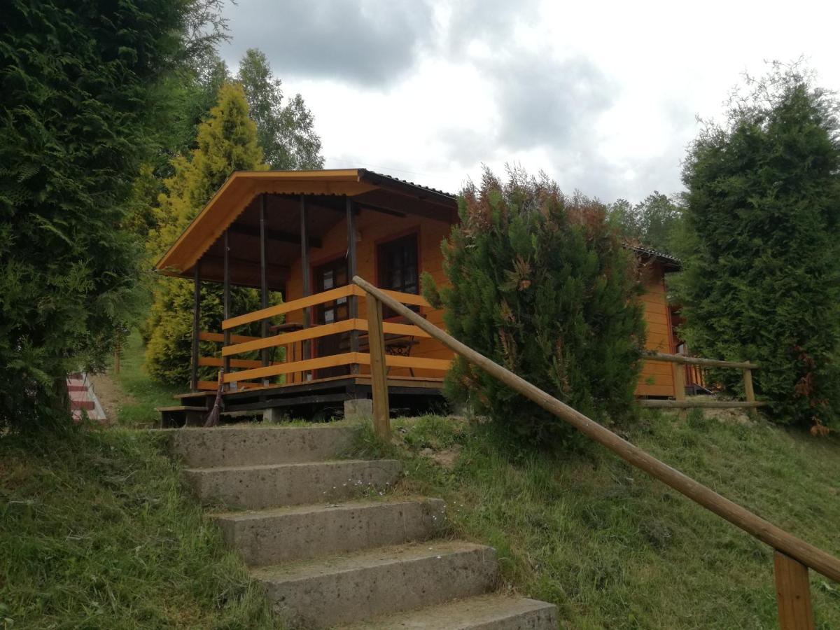 Eko-wakacje * Polanczyk