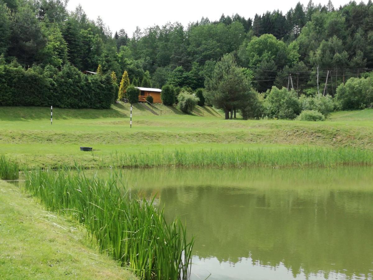 Lodge Eko-wakacje *