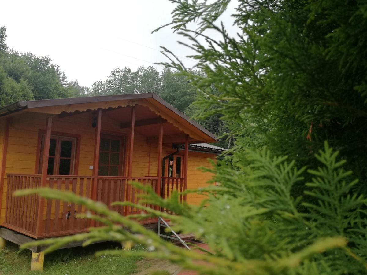 Eko-wakacje Lodge Polanczyk