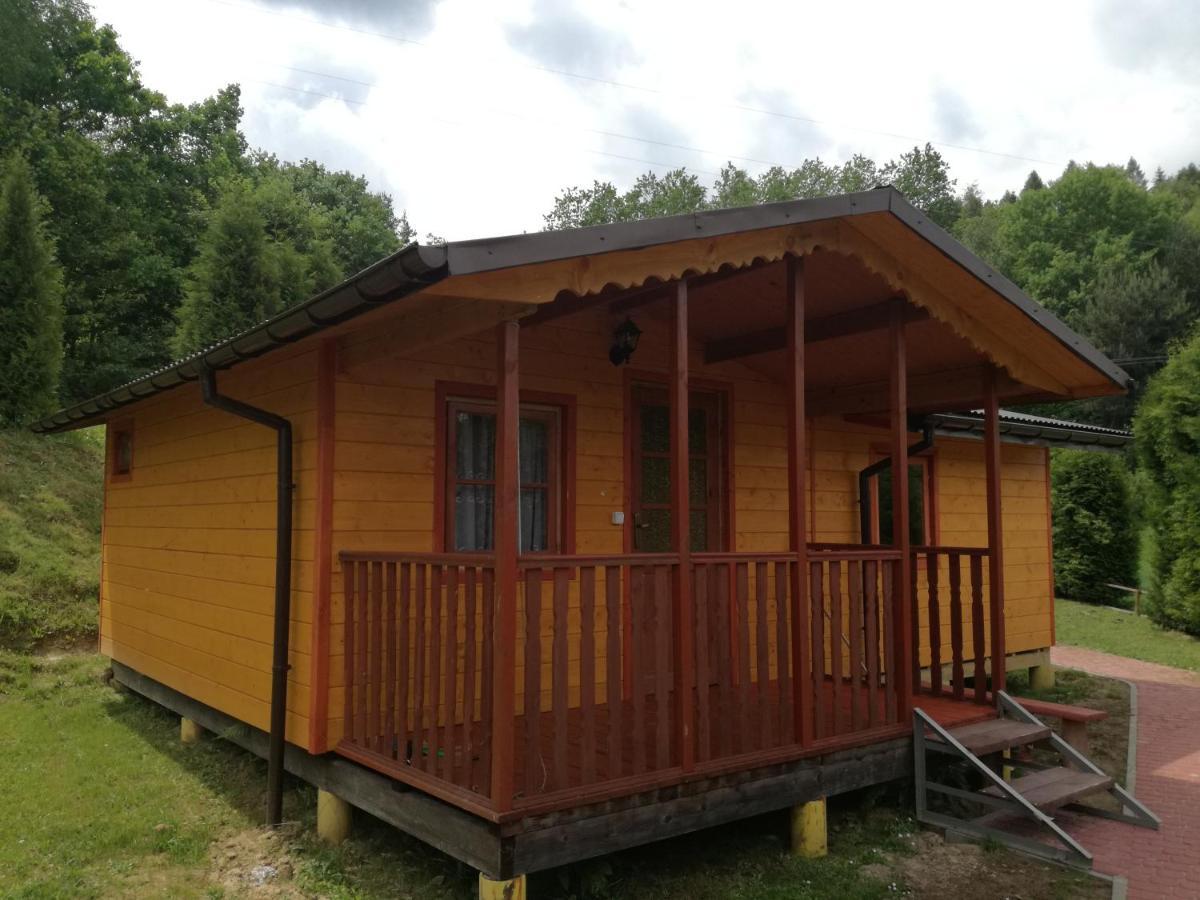 Eko-wakacje * Polanczyk