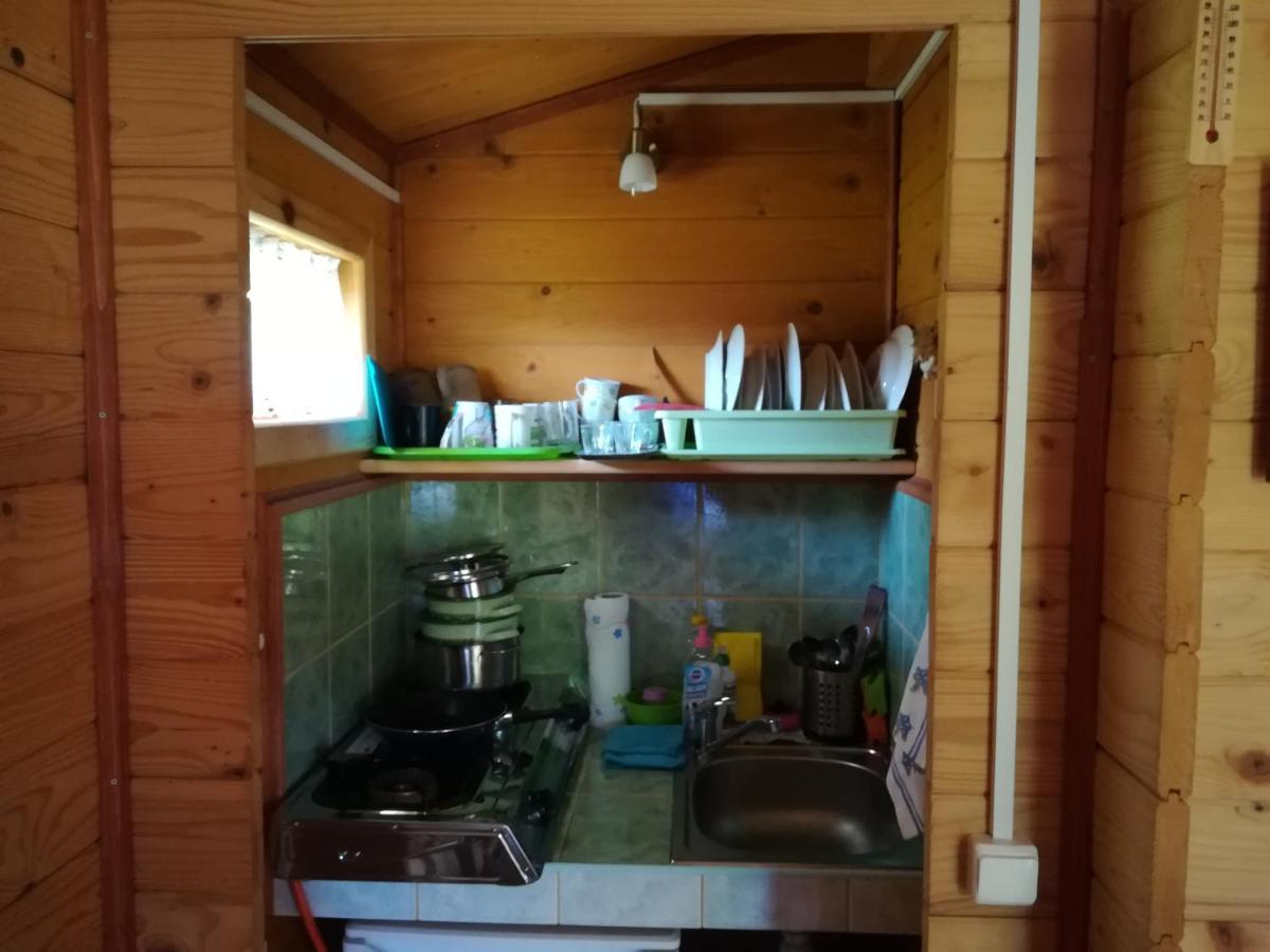 Lodge Eko-wakacje