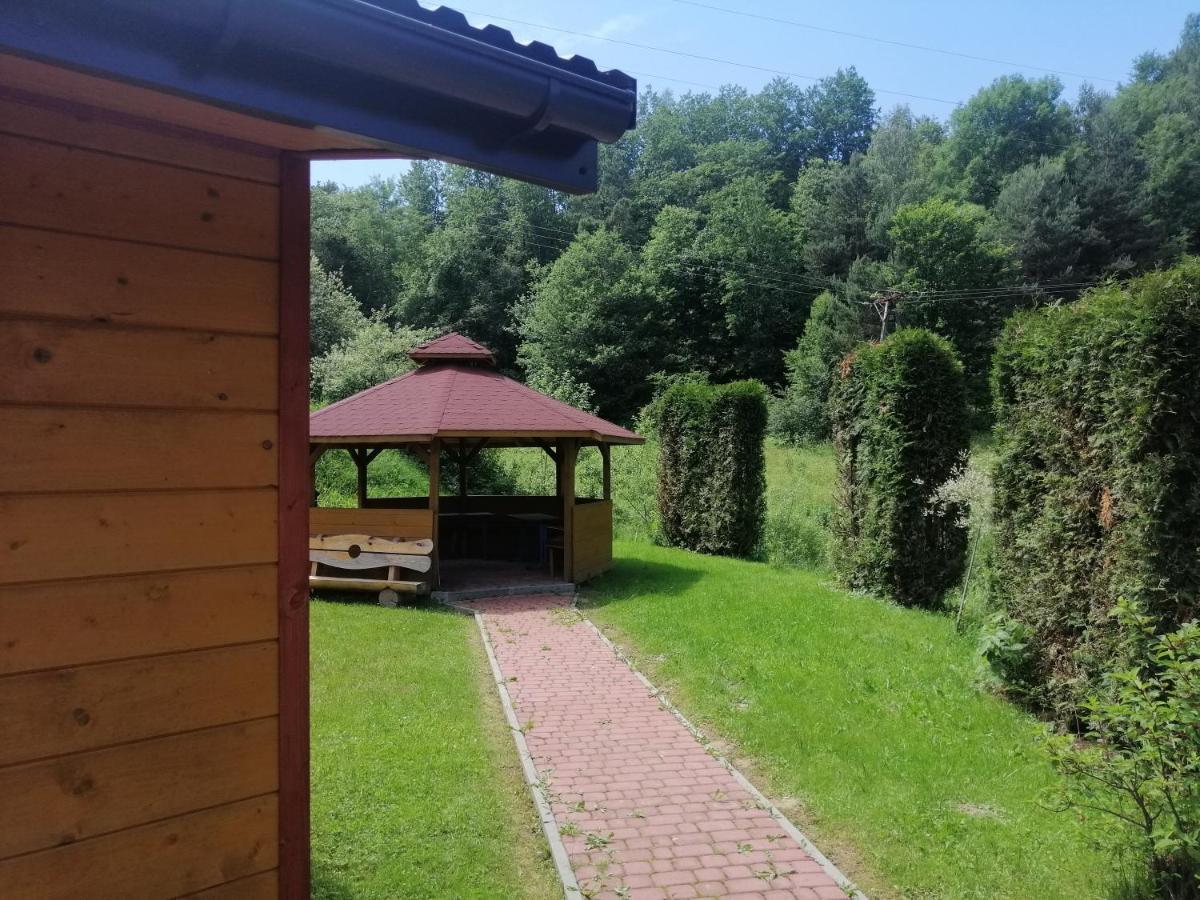 Eko-wakacje * Polanczyk