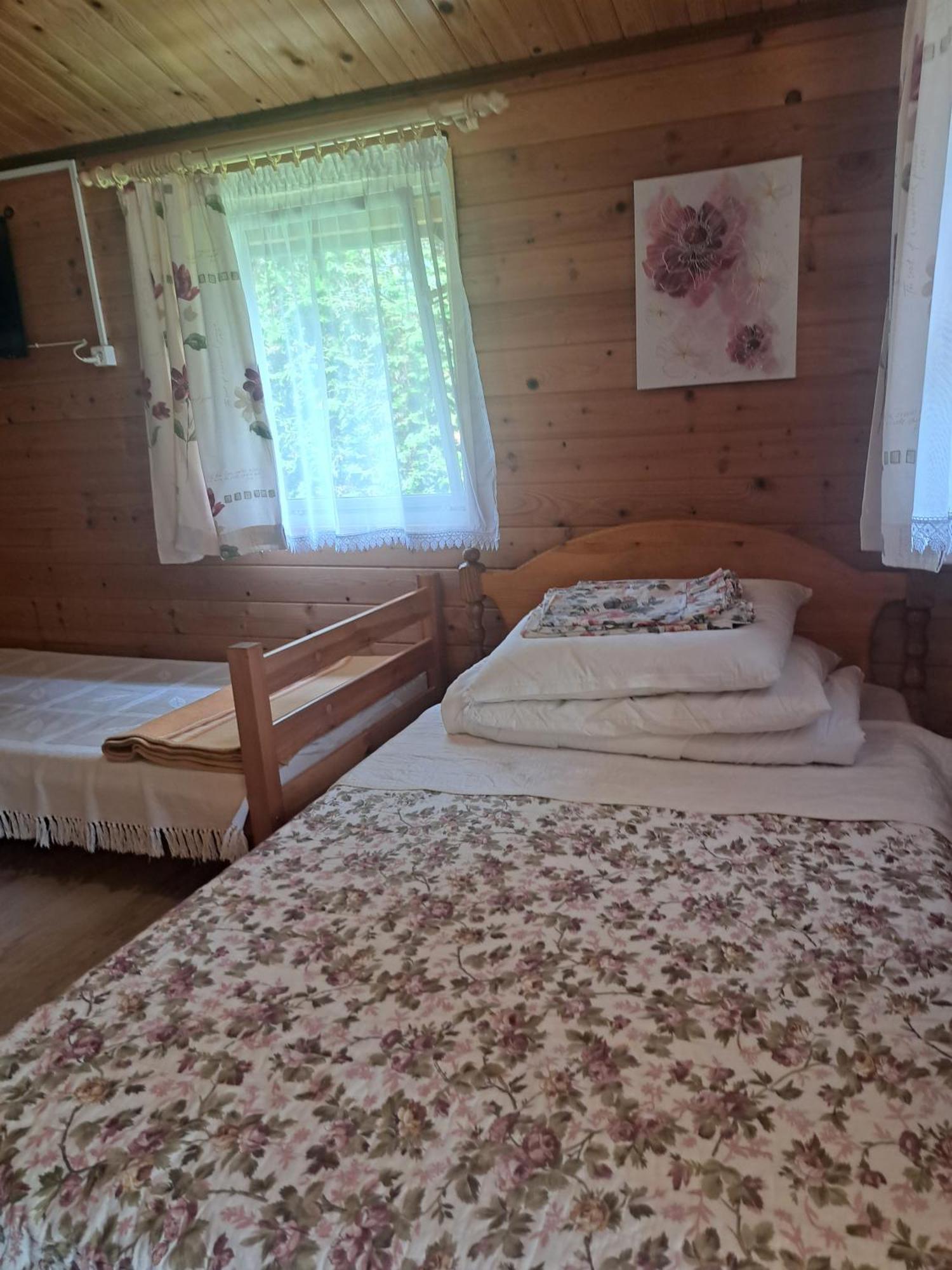 Eko-wakacje Lodge *