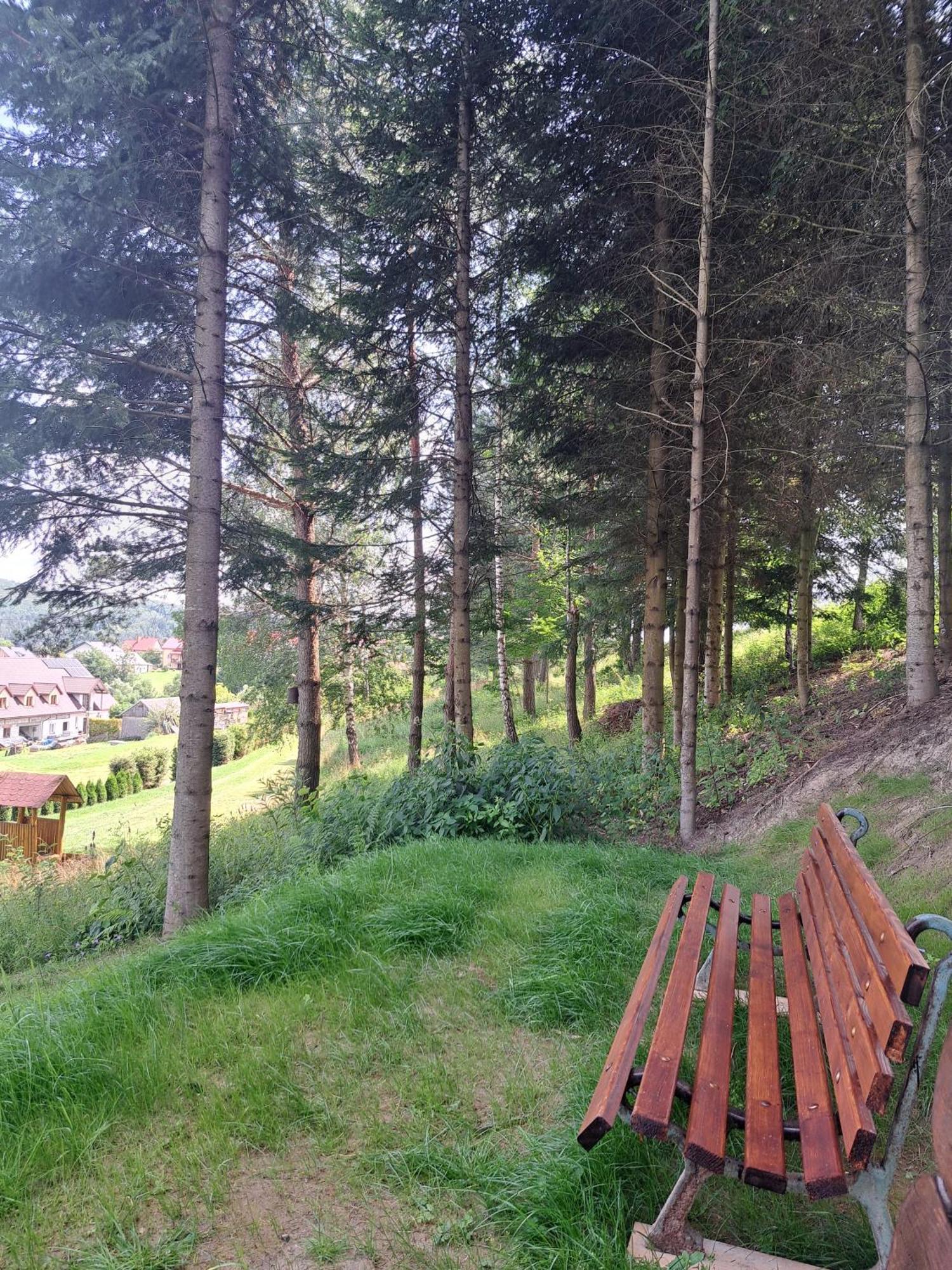 Eko-wakacje * Polanczyk